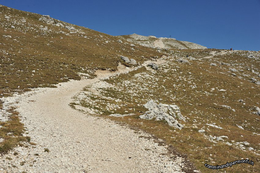 073 Verso il Monte Petz.JPG